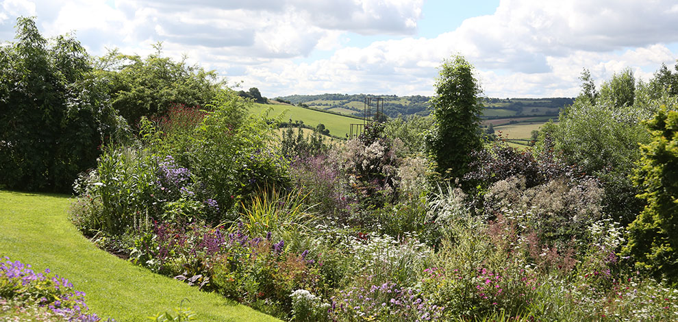 Wiltshire special plants